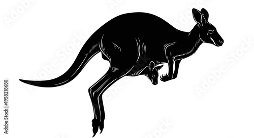 Black kangaroo with joey jumping