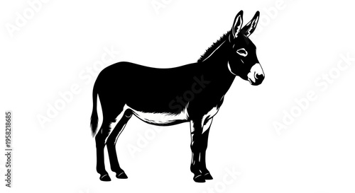 Black donkey standing looking right
