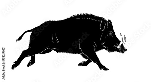 Black silhouette of a wild boar running