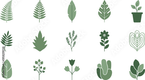Botanical leaf plant icon collection, decorative greenery vector set, nature foliage artwork design, cactus potted plant illustration, flat vector illustration