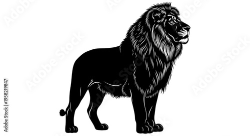 Black lion standing proudly with long mane