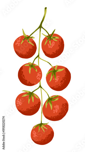 Branch with red little tomato cherry on transparent background