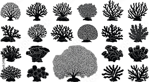 Coral reef silhouette collection, underwater marine life shapes, ocean botanical elements, sea coral illustration set, black white vector design pack