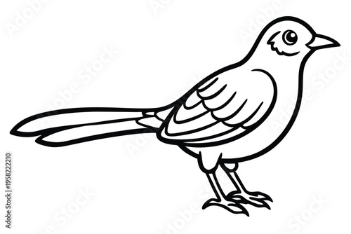 rosella bird silhouette line art vector illustration with a white background