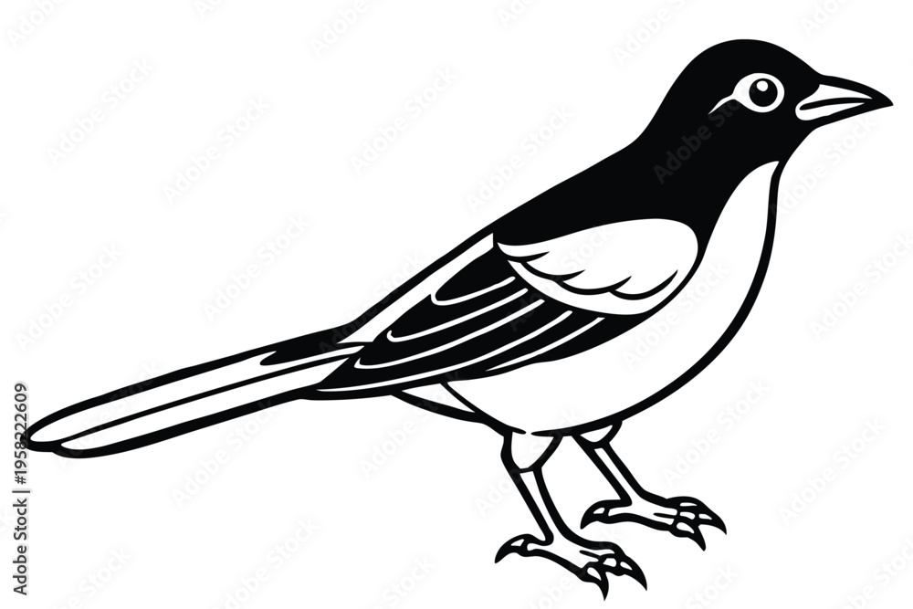 Obraz premium rosella bird silhouette line art vector illustration with a white background