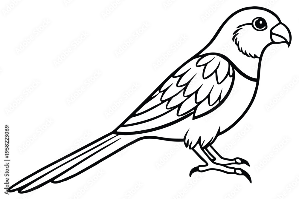 Fototapeta premium rosella bird silhouette line art vector illustration with a white background