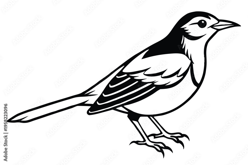 Fototapeta premium rosella bird silhouette line art vector illustration with a white background