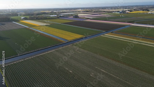 Aerial view of neatly organized rows of vibrant tulip fields form a colorful patchwork quilt under a soft sky, Lisse, Netherlands.