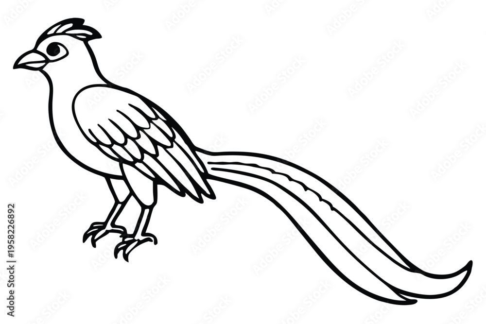 Fototapeta premium roadrunner bird silhouette line art vector illustration with a white background