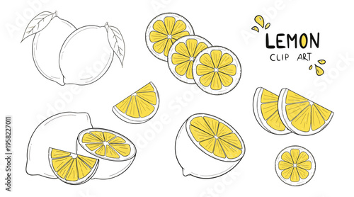 Set of different lemons. Hand drawn lemons in doodle style. Cut, lemon slices, whole, lemon flowers and leaves. Vegetarian healthy food and vitamin C.