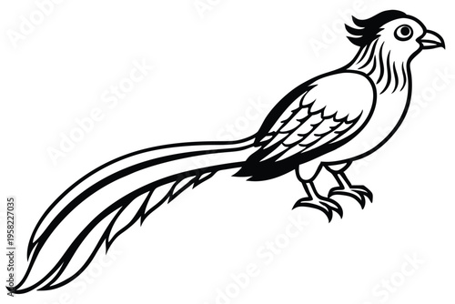 roadrunner bird silhouette line art vector illustration with a white background