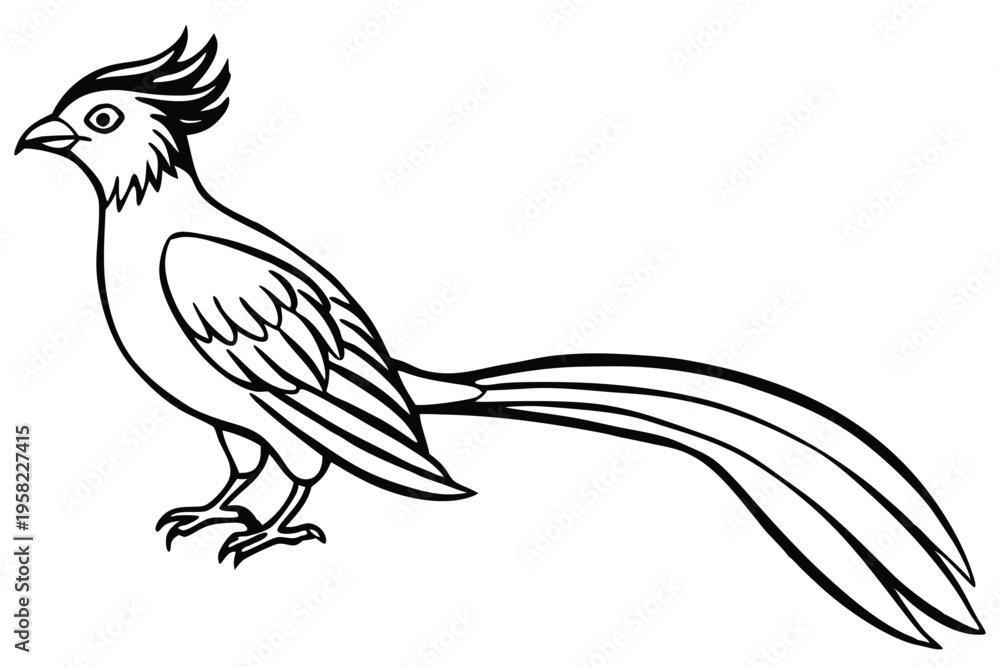 Obraz premium roadrunner bird silhouette line art vector illustration with a white background