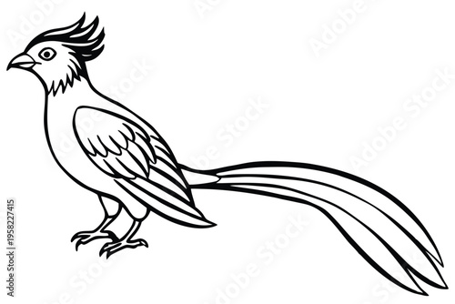 roadrunner bird silhouette line art vector illustration with a white background