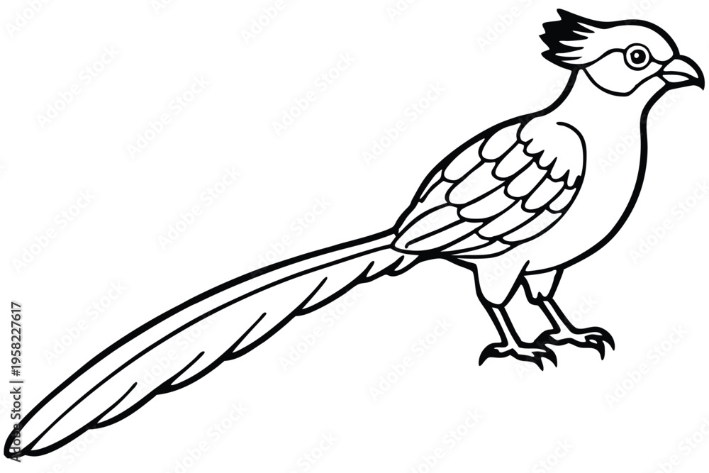 Fototapeta premium roadrunner bird silhouette line art vector illustration with a white background