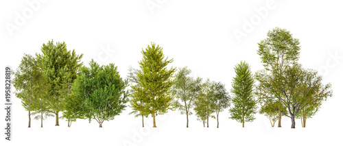 Various green trees 3d  transparent background