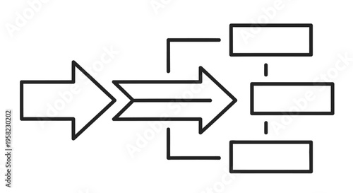 Diagram illustrating data flow with input process and multiple outputs