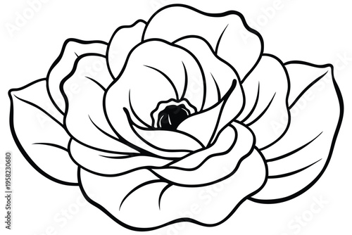 poppy flower silhouette line art vector illustration with a white background