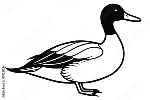 pintail bird silhouette line art vector illustration with a white background