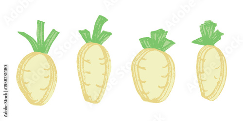 Hand drawn farm daikon radish plant with green leaves Fresh vegetable doodle set Healthy eco food Organic garden vegetarian food For design, print, packaging, decor, kids books
