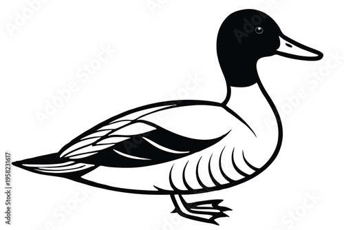 pintail bird silhouette line art vector illustration with a white background