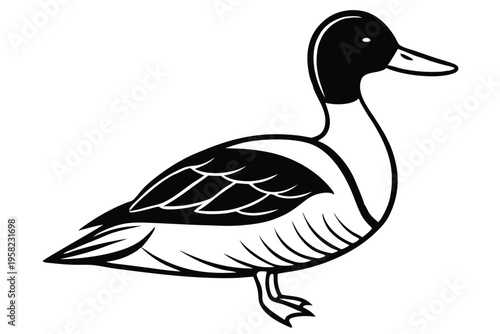 pintail bird silhouette line art vector illustration with a white background