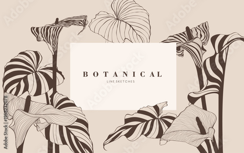 Calla lilies flowers. Engraved background. Wedding background card floral decorative border. Thank you, rsvp, invitation elegant card illustration graphic set banner.