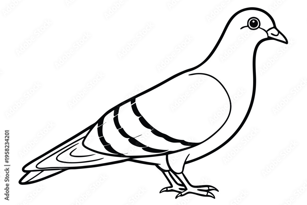 Obraz premium pigeon silhouette line art vector illustration with a white background