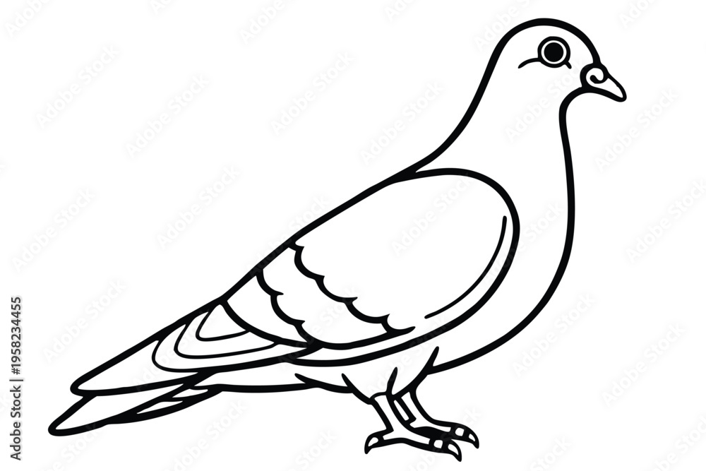 Fototapeta premium pigeon silhouette line art vector illustration with a white background