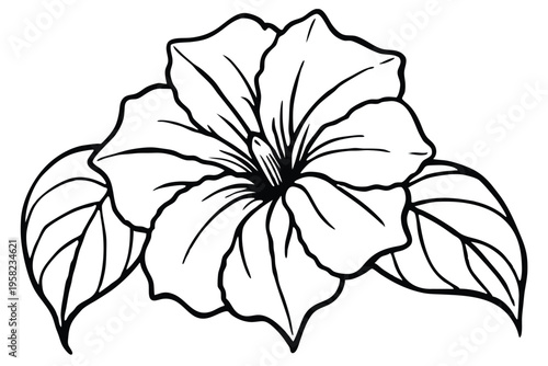 petunia flower silhouette line art vector illustration with a white background