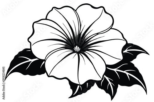petunia flower silhouette line art vector illustration with a white background