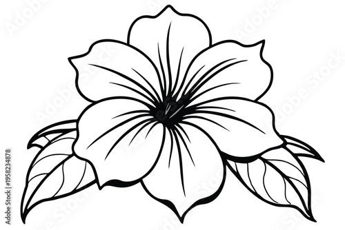petunia flower silhouette line art vector illustration with a white background
