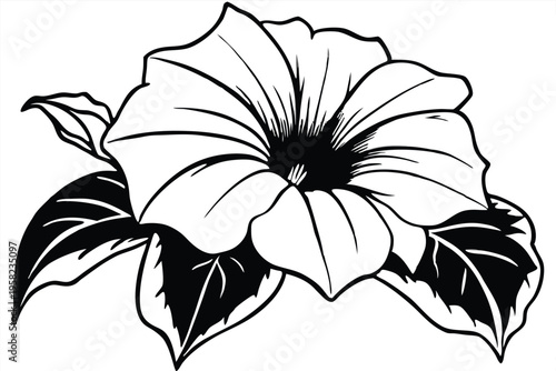 petunia flower silhouette line art vector illustration with a white background