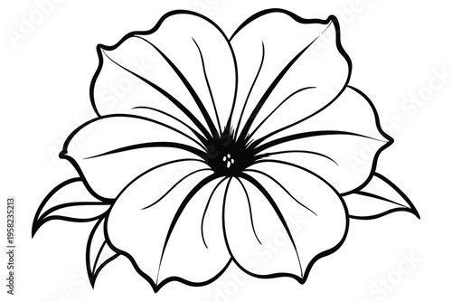 petunia flower silhouette line art vector illustration with a white background