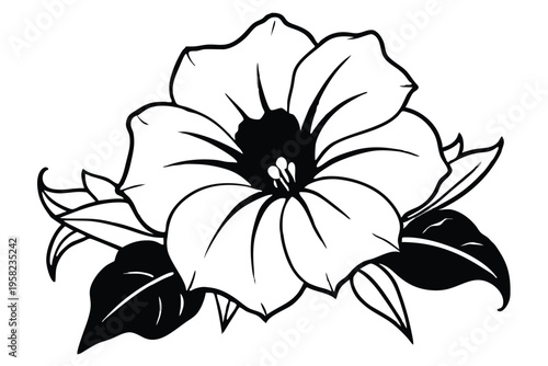 petunia flower silhouette line art vector illustration with a white background