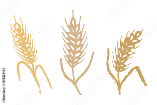 Set of hand drawn cereal wheat oat rye barley rice ears spikelet clipart Organic wheat bread agriculture farming harvest healthy food Single element for design print packaging label decor