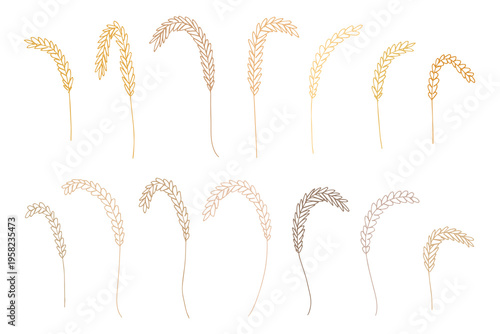 Set of hand drawn cereal wheat oat rye barley rice ears spikelet clipart Organic wheat bread agriculture farming harvest healthy food Single element for design print packaging label decor