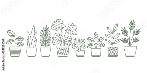 A collection of various house plants in decorative pots rendered in a simple line art style design Vector