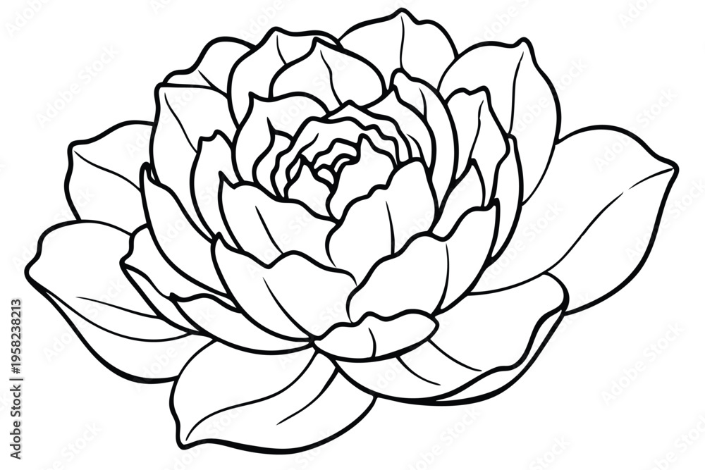 Obraz premium peony flower silhouette line art vector illustration with a white background