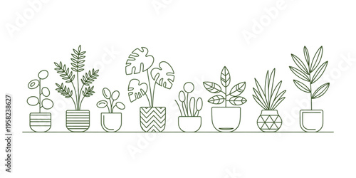 A collection of various decorative houseplants arranged in different patterned ceramic flower pots Vector