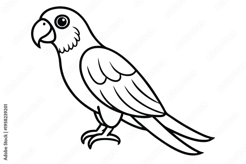 Fototapeta premium parakeet bird silhouette line art vector illustration with a white background