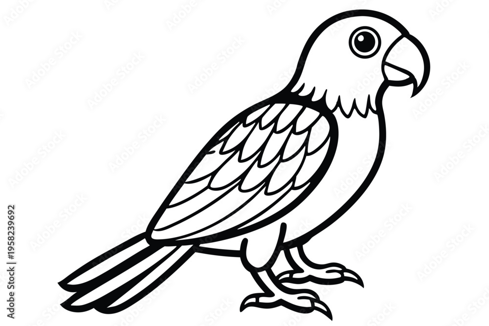 Fototapeta premium parakeet bird silhouette line art vector illustration with a white background