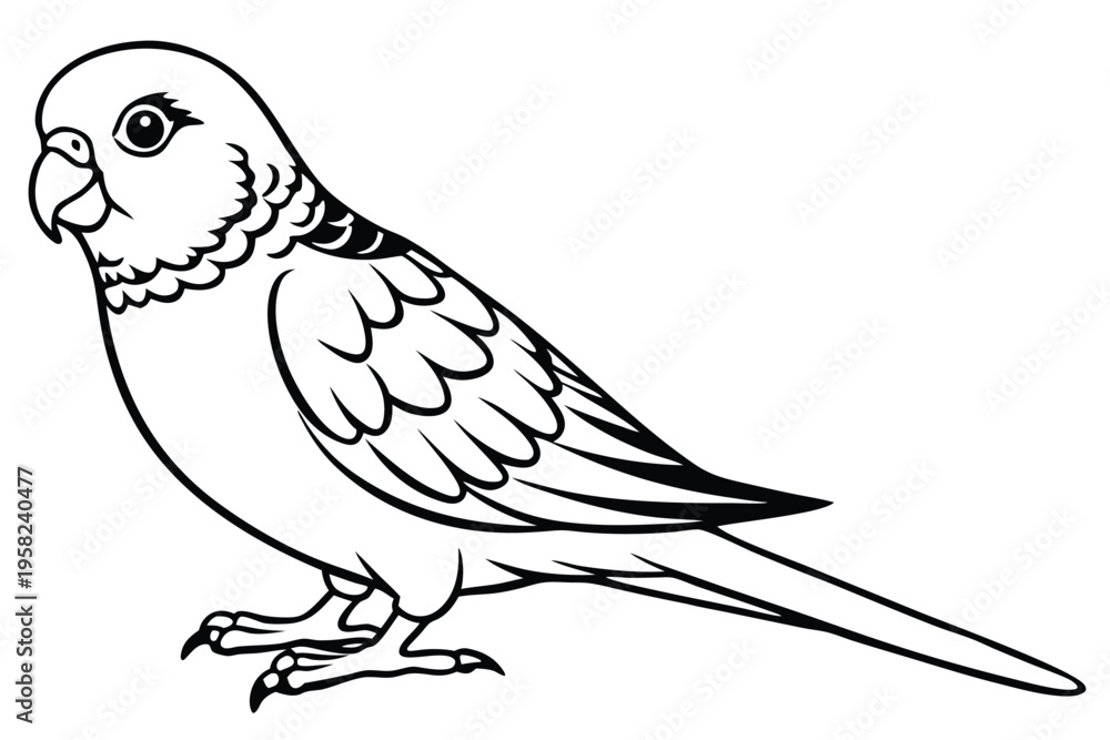 Fototapeta premium parakeet bird silhouette line art vector illustration with a white background
