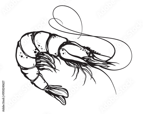 Shrimp silhouette vector icon isolated on white background, seafood prawn symbol for restaurant menu design.