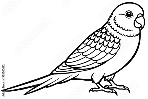 parakeet bird silhouette line art vector illustration with a white background