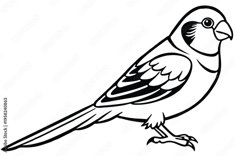 Fototapeta premium parakeet bird silhouette line art vector illustration with a white background