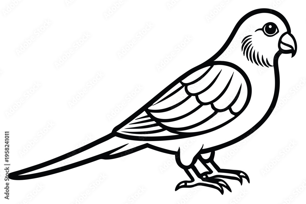 Obraz premium parakeet bird silhouette line art vector illustration with a white background