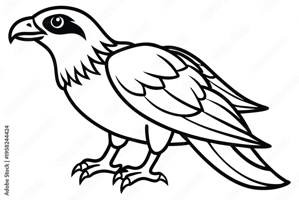 Fototapeta premium osprey bird silhouette line art vector illustration with a white background