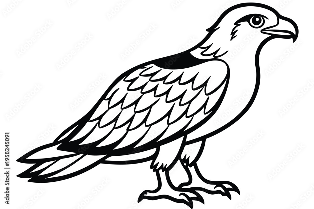 Fototapeta premium osprey bird silhouette line art vector illustration with a white background