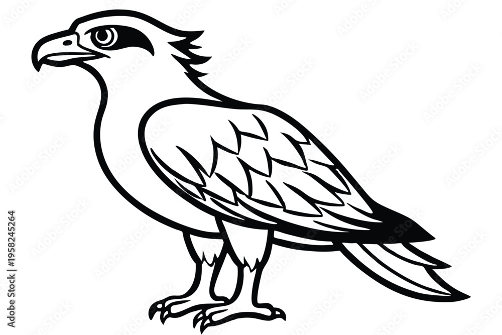 Fototapeta premium osprey bird silhouette line art vector illustration with a white background