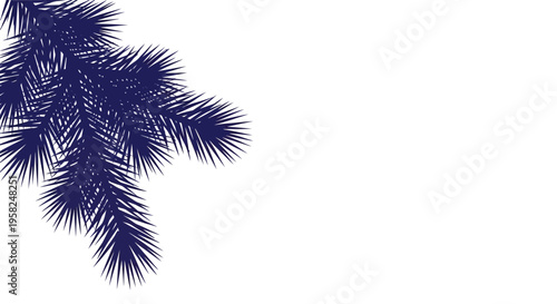 Dark blue pine branch on white background, isolated, minimalist, holiday season
